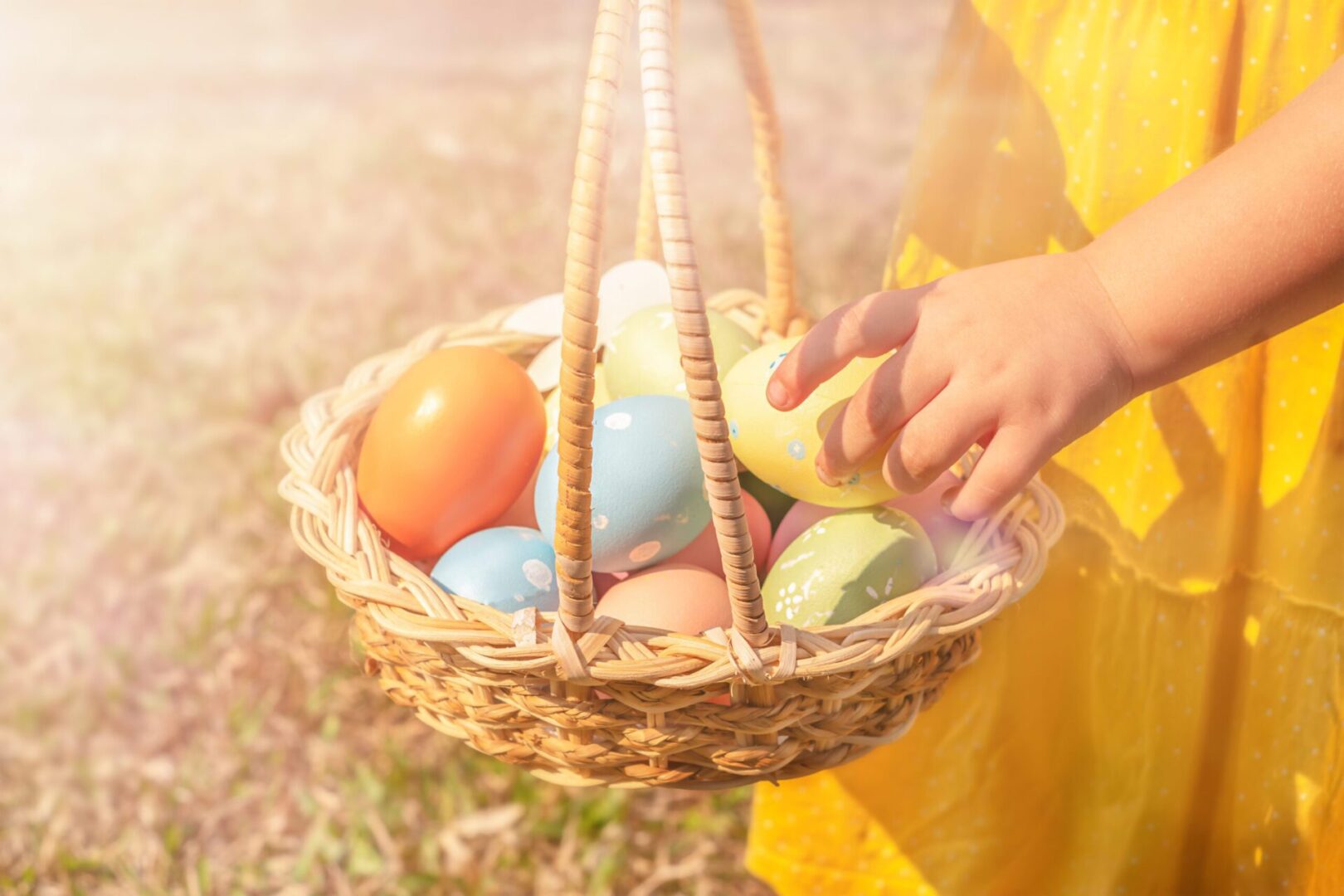A child takes out an Easter egg from a basket in a meadow
